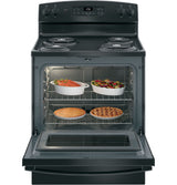 GE 30-in 4 Elements 5.0-cu ft Self-Cleaning Freestanding Electric Range (Black)