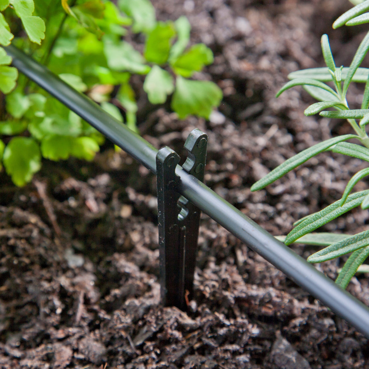 Raindrip Drip Irrigation Tubing Support Stakes for 1/4 in. Tubing, 3.5 in. Height, 10-Pack