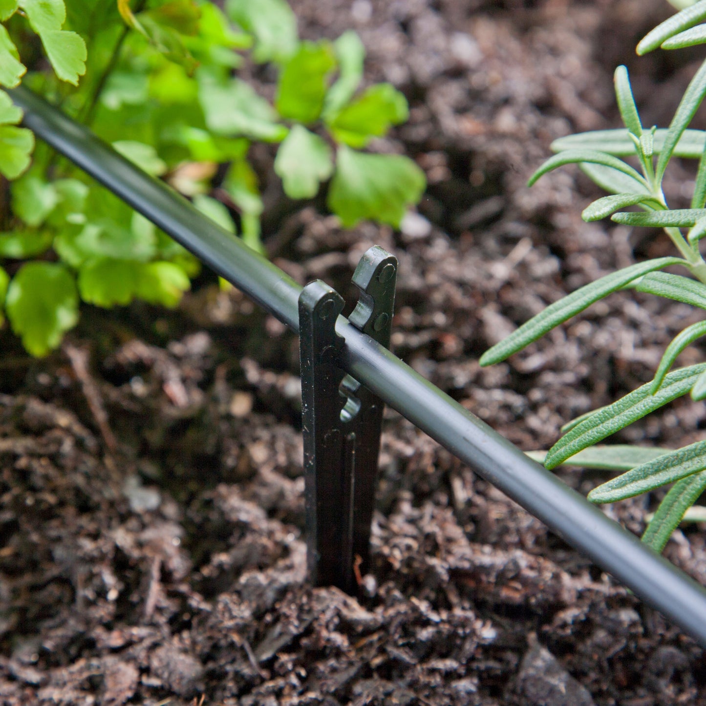 Raindrip Drip Irrigation Tubing Support Stakes for 1/4 in. Tubing, 3.5 in. Height, 10-Pack