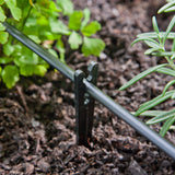 Raindrip Drip Irrigation Tubing Support Stakes for 1/4 in. Tubing, 3.5 in. Height, 10-Pack