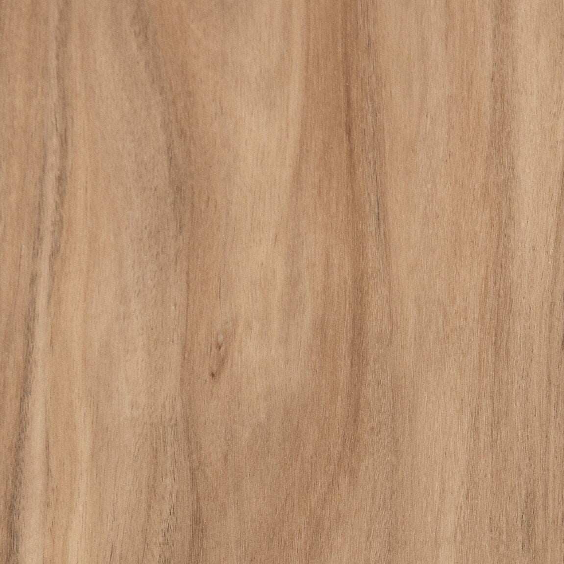 CALI Pro with Mute Step Coastal Eucalyptus 1.25-in x 72-in Vinyl Floor T-Moulding