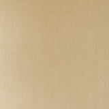 James Hardie 5/16 in. x 4 ft. x 8 ft. HardiePanel Stucco Vertical Siding, HZ10, Primed