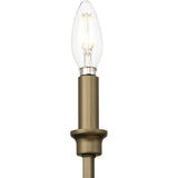 Progress Lighting Myerly 5-Light Modern/Contemporary Chandelier
