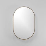 20-in x 30-in Surface Mount Gold Mirrored Oval Medicine Cabinet