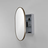 20-in x 30-in Surface Mount Gold Mirrored Oval Medicine Cabinet