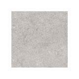 Giorbello (Sample) Ambience Natural Silver 24-in x 24-in Matte Porcelain Stone Look Floor and Wall Tile