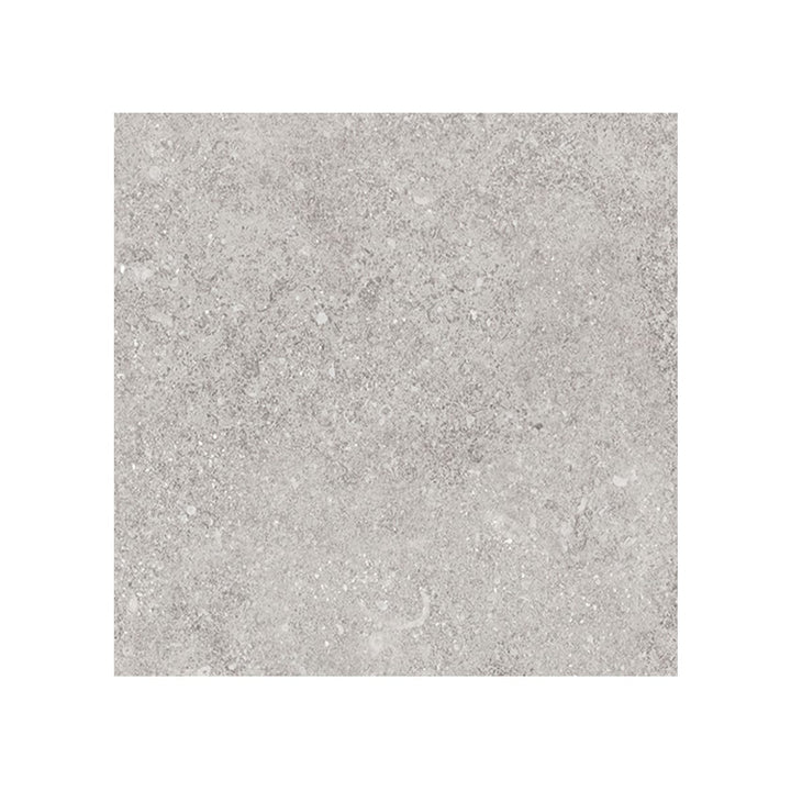 Giorbello (Sample) Ambience Natural Silver 24-in x 24-in Matte Porcelain Stone Look Floor and Wall Tile