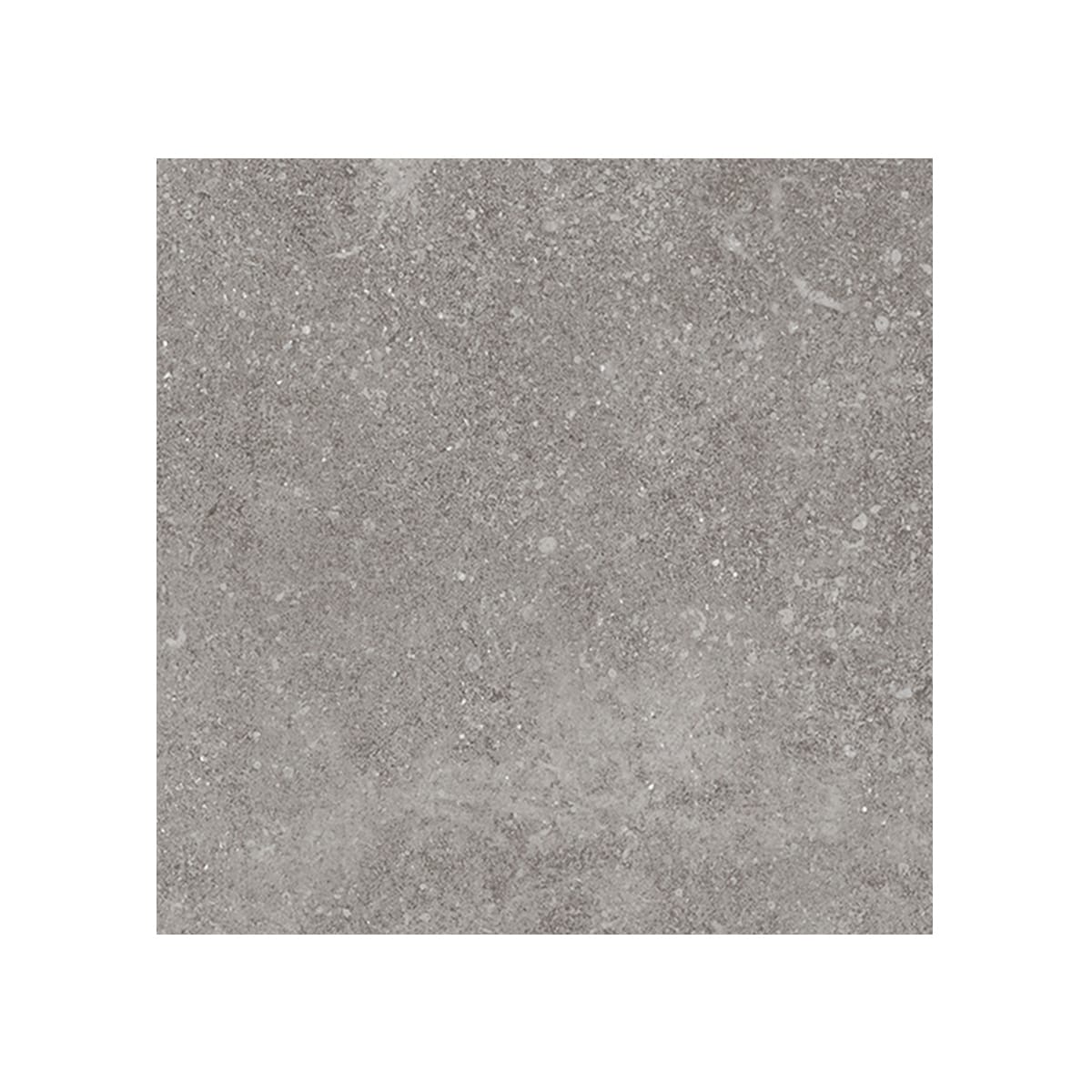 Giorbello (Sample) Ambience Natural Gray 24-in x 24-in Matte Porcelain Stone Look Floor and Wall Tile