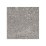 Giorbello (Sample) Ambience Natural Gray 24-in x 24-in Matte Porcelain Stone Look Floor and Wall Tile