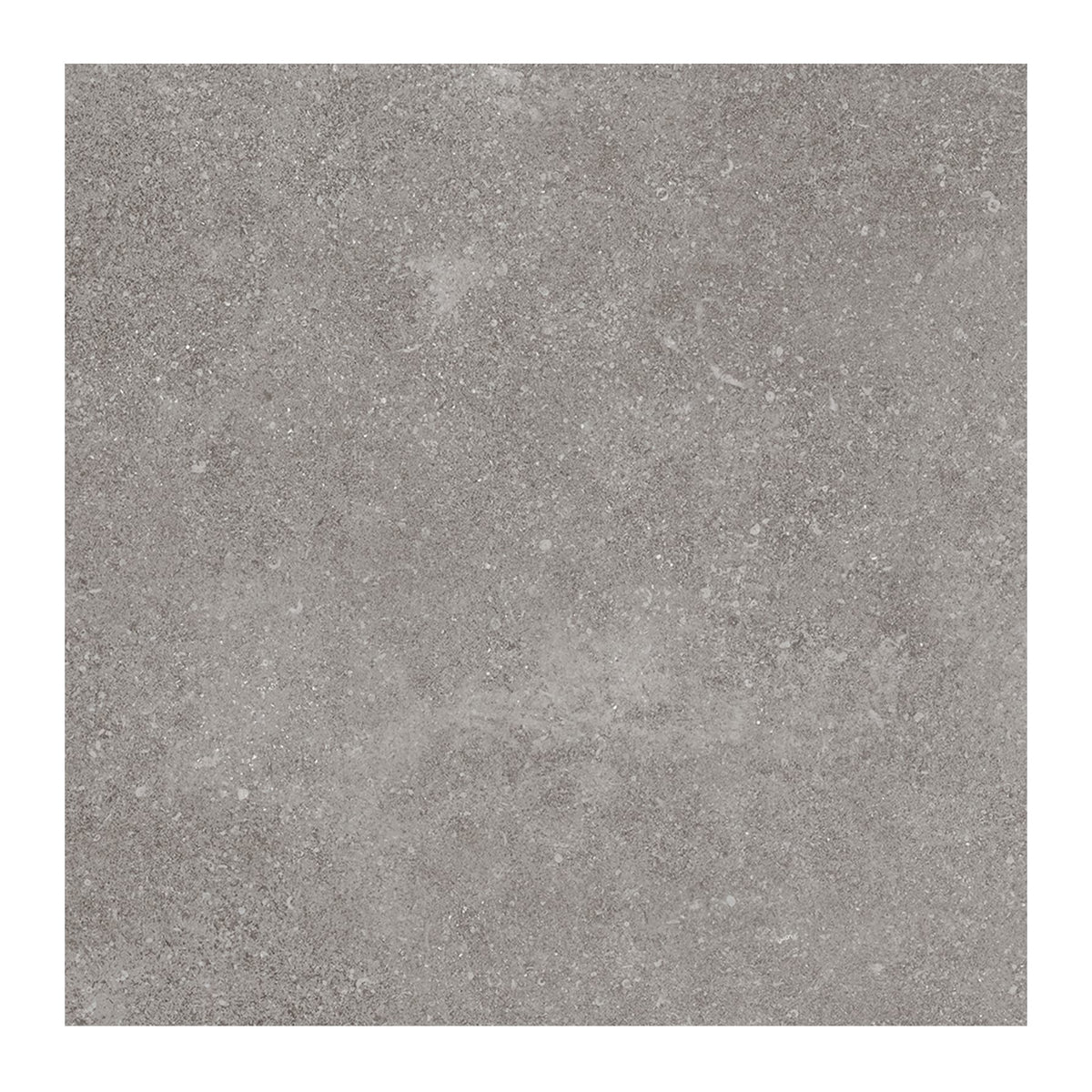 Giorbello Ambience Natural Gray 24-in x 24-in Matte Porcelain Stone Look Floor Tile (12-sq. ft/ Carton)