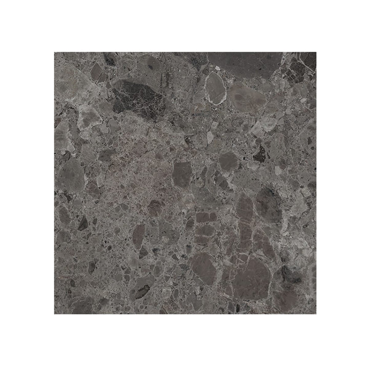 Giorbello (Sample) Ambience Terrazzo Deep Gray 24-in x 24-in Matte Porcelain Stone Look Floor and Wall Tile