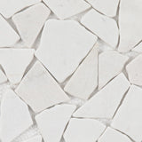 Giorbello (Sample) White 12-in x 12-in Matte Marble Look Floor and Wall Tile
