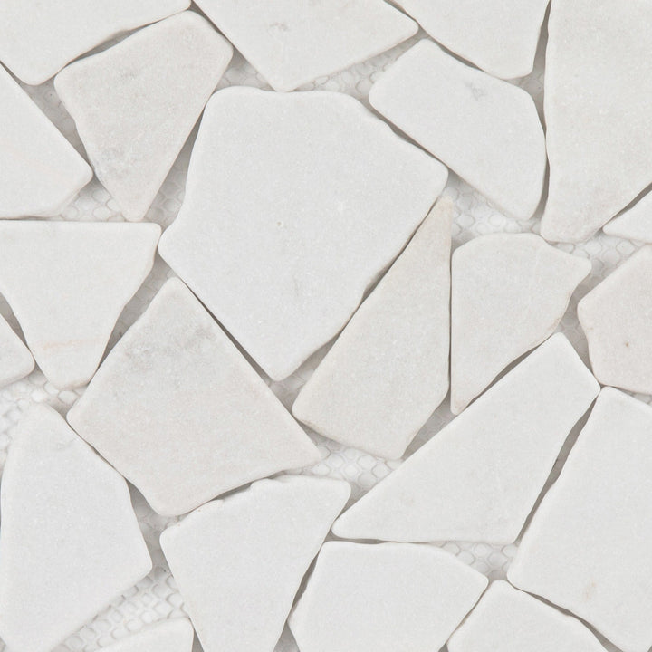 Giorbello (Sample) White 12-in x 12-in Matte Marble Look Floor and Wall Tile