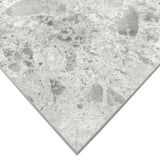 Giorbello (Sample) Ambience Terrazzo Silver 24-in x 24-in Matte Porcelain Stone Look Floor and Wall Tile