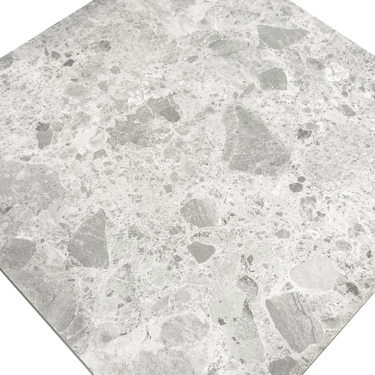 Giorbello (Sample) Ambience Terrazzo Silver 24-in x 24-in Matte Porcelain Stone Look Floor and Wall Tile