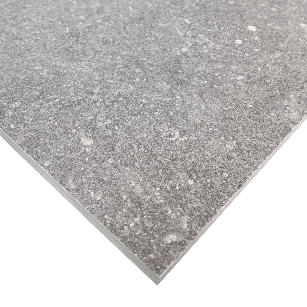 Giorbello (Sample) Ambience Natural Gray 24-in x 24-in Matte Porcelain Stone Look Floor and Wall Tile