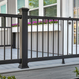 Trex Enhance 6-ft x 42-in Charcoal Black Composite Deck Rail Kit