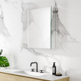 NeuType 20-in W x 26-in H Sliver Square Medicine Cabinet Mirror