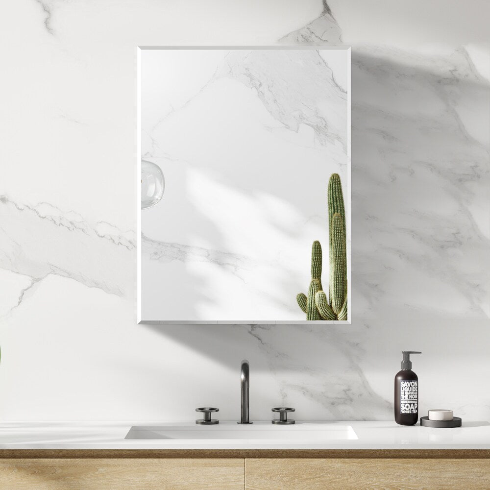 NeuType 20-in W x 26-in H Sliver Square Medicine Cabinet Mirror