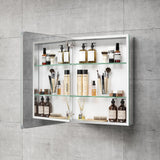 NeuType 20-in W x 26-in H Sliver Square Medicine Cabinet Mirror