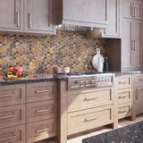 Apollo Tile Splendor Brown 12-in x 12-in Polished Porcelain Hexagon Patterned Floor and Wall Tile (7.09-sq. ft/ Carton)