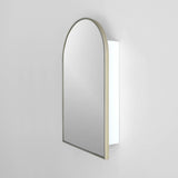 18-in x 30-in Surface Mount Gold Mirrored Arched Medicine Cabinet