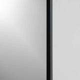 22-in x 28-in Surface Mount Black Mirrored Medicine Cabinet