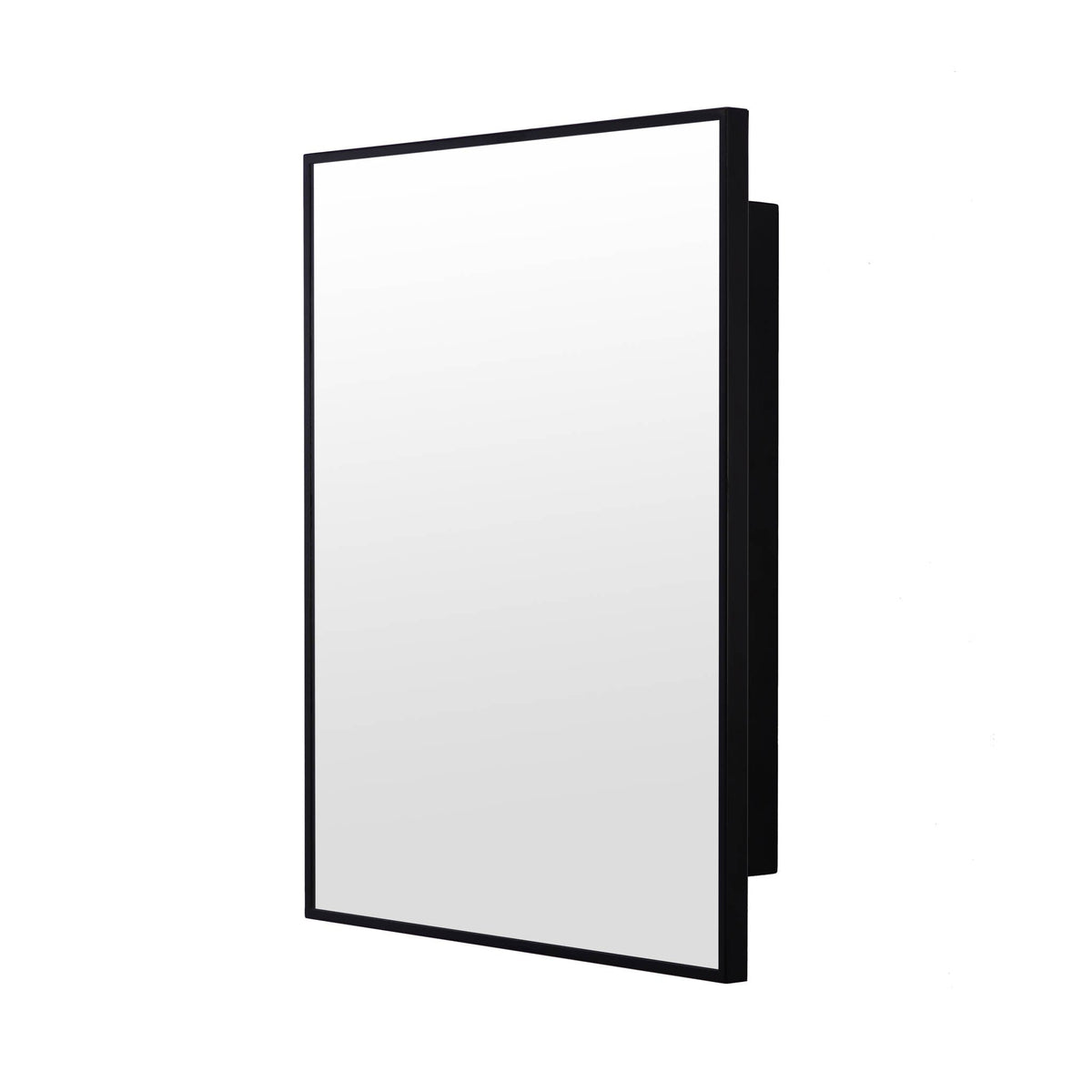 22-in x 28-in Surface Mount Black Mirrored Medicine Cabinet