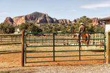 Tarter 4-ft H x 20-ft W Green Powder Over E-coat Steel Farm Corral Fence Gate