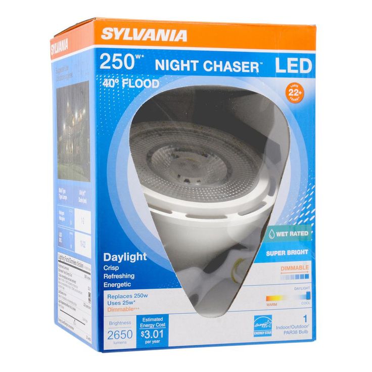 26-Watt (250-Watt Equivalent) Daylight PAR38 LED Night Chaser Flood Light Bulb 1 Pack