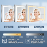 ExBrite 44-in x 30-in Lighted LED Fog Free Surface/Recessed Mount Silver Mirrored Soft Close Medicine Cabinet with Outlet