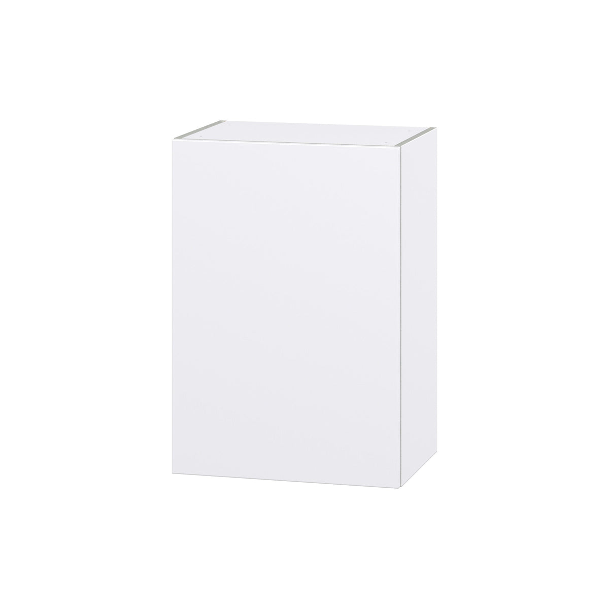 Hugo&Borg Lasalle 21-in W x 30-in H x 14-in D Bright White Slab Wall Fully Assembled Cabinet (Flat Panel Slab Door Style)