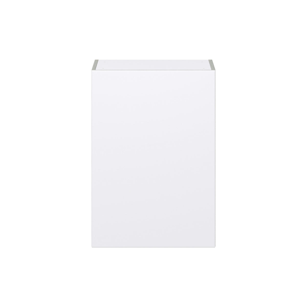 Hugo&Borg Lasalle 21-in W x 30-in H x 14-in D Bright White Slab Wall Fully Assembled Cabinet (Flat Panel Slab Door Style)