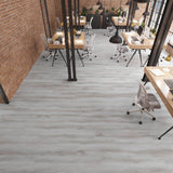 Lucida USA (Sample) GlueCore Pro Grigio Gray Wood Look 28-mil Waterproof Glue Down Luxury Vinyl Plank