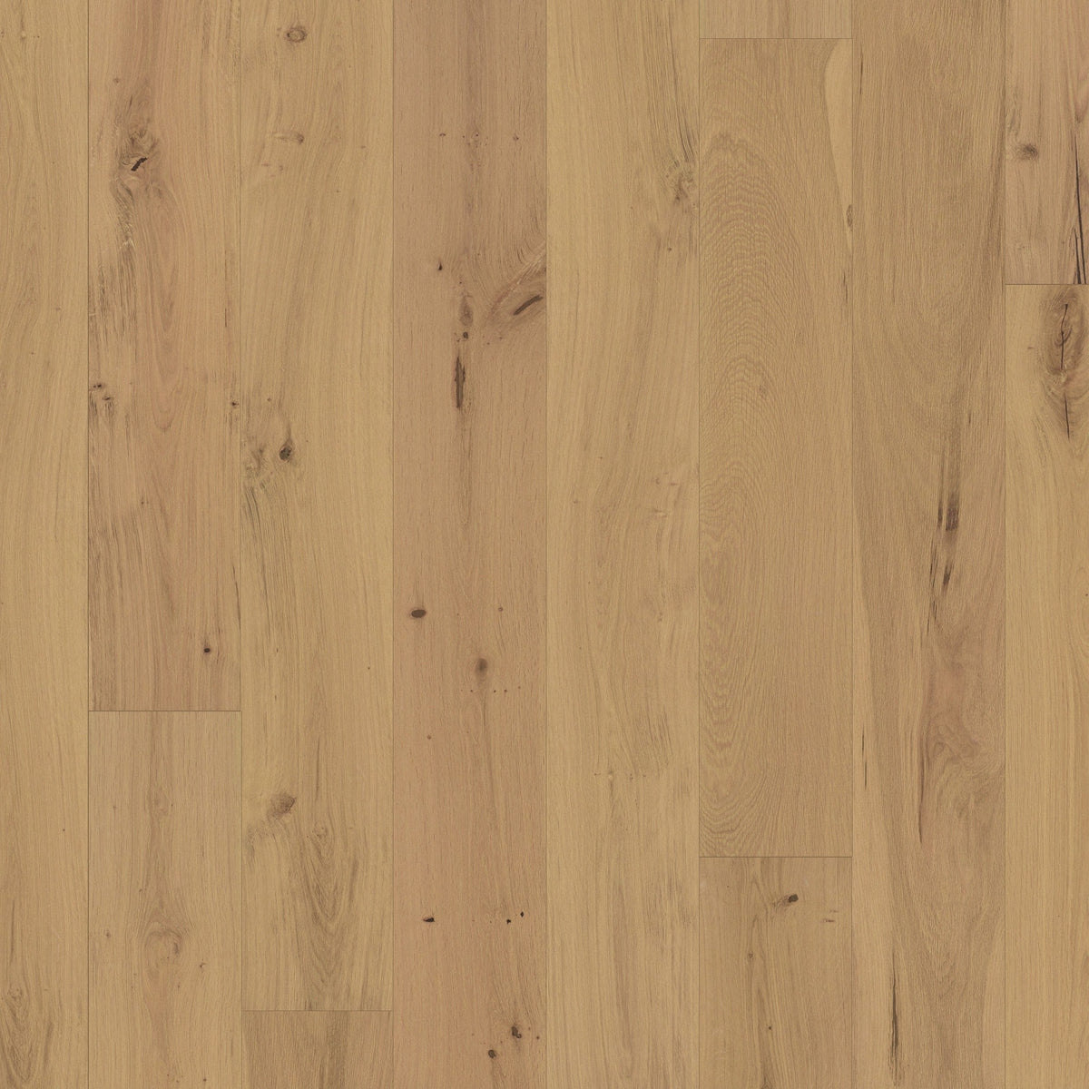 Element Flooring Stoneboro Moultrie European White Oak 7-1/2-in W x 3/8-in T x Varying Length Wirebrushed Engineered Hardwood Flooring (39.06-sq ft / Carton)
