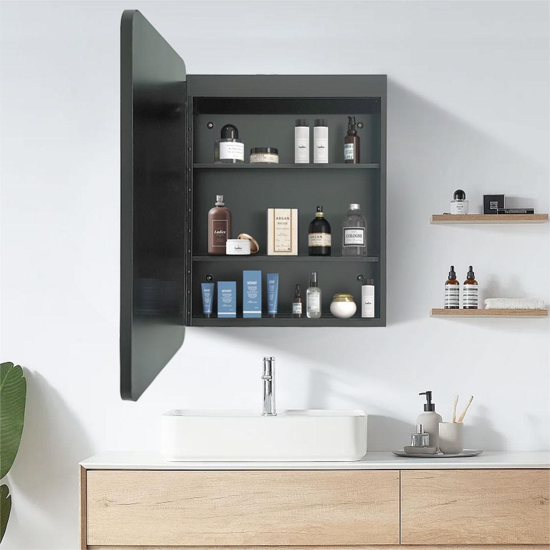 WELLFOR AO 20-in x 28-in Lighted LED Fog Free Surface Mount Black Mirrored Medicine Cabinet