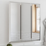 Design House Cyprus 25.1-in x 24.5-in Surface/Recessed Mount Clear Mirrored Medicine Cabinet