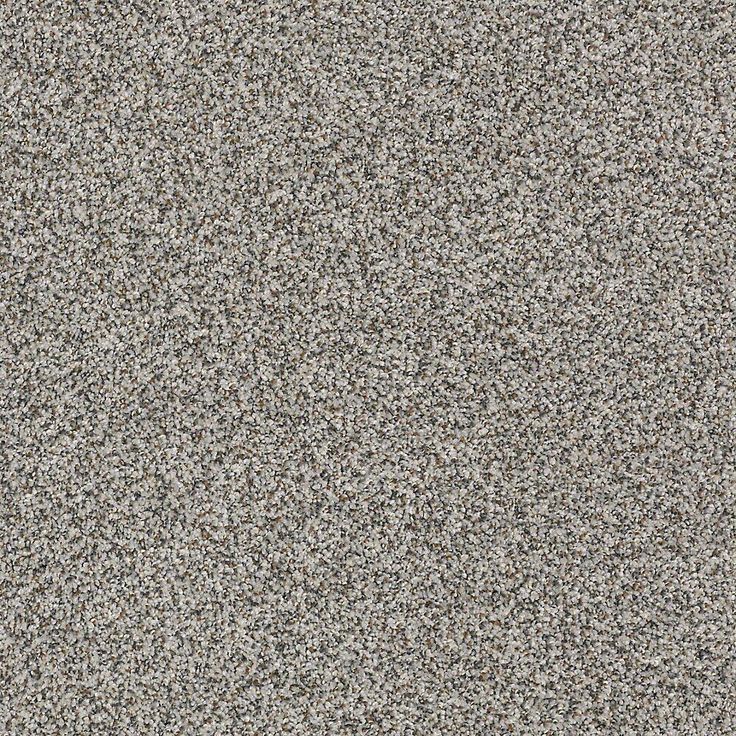 STAINMASTER PetProtect Mineral Bay II 12-ft Harbor Mist Textured Carpet Sample (Interior)