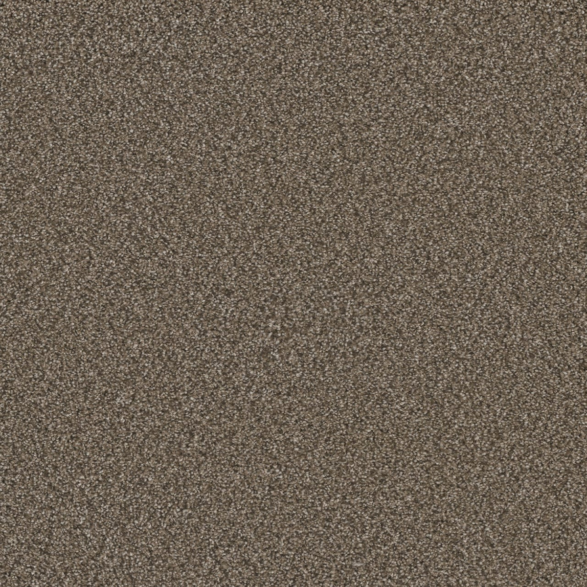 Durango Delight III Basin Creek Brown 54-oz sq yard Solution-dyed polyester Textured Indoor Carpet