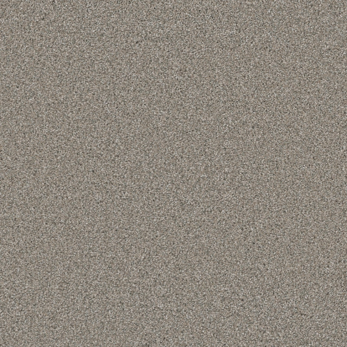 Royal Flush II High Card Tan 70-oz sq yard Solution-dyed polyester Textured Indoor Carpet