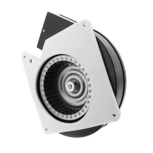 Packard 66005 inducer motor - side view (Type: Shaded Pole; Voltage: 115V)