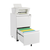 GZMR Metal 2 Drawer Mobile File Cabinet with Lock White 2-Drawer 17.71-in File Cabinet