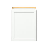 Hugo&Borg PRO Glendale 24-in W x 30-in H x 12-in D Pure White Wall Ready To Assemble Plywood Cabinet (Recessed Panel Shaker Door Style)