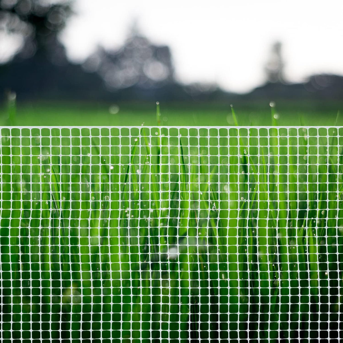 BOEN 50-ft x 4-ft 6-Gauge White Plastic Extruded Mesh Rolled Fencing
