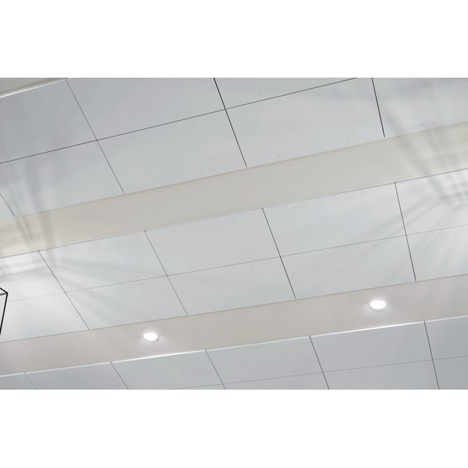 Armstrong Ceilings AcoustAffix 40-pack 1.25-in Fastener