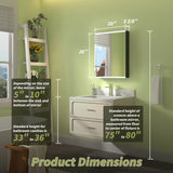 ExBrite Arvona 20-in x 26-in Lighted LED Surface Mount Matte Black Mirrored Medicine Cabinet