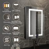ExBrite 20-in x 30-in Lighted LED Fog Free Surface/Recessed Mount Matte Black Mirrored Soft Close Medicine Cabinet with Outlet