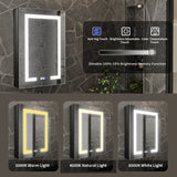 ExBrite 20-in x 30-in Lighted LED Fog Free Surface/Recessed Mount Matte Black Mirrored Soft Close Medicine Cabinet with Outlet