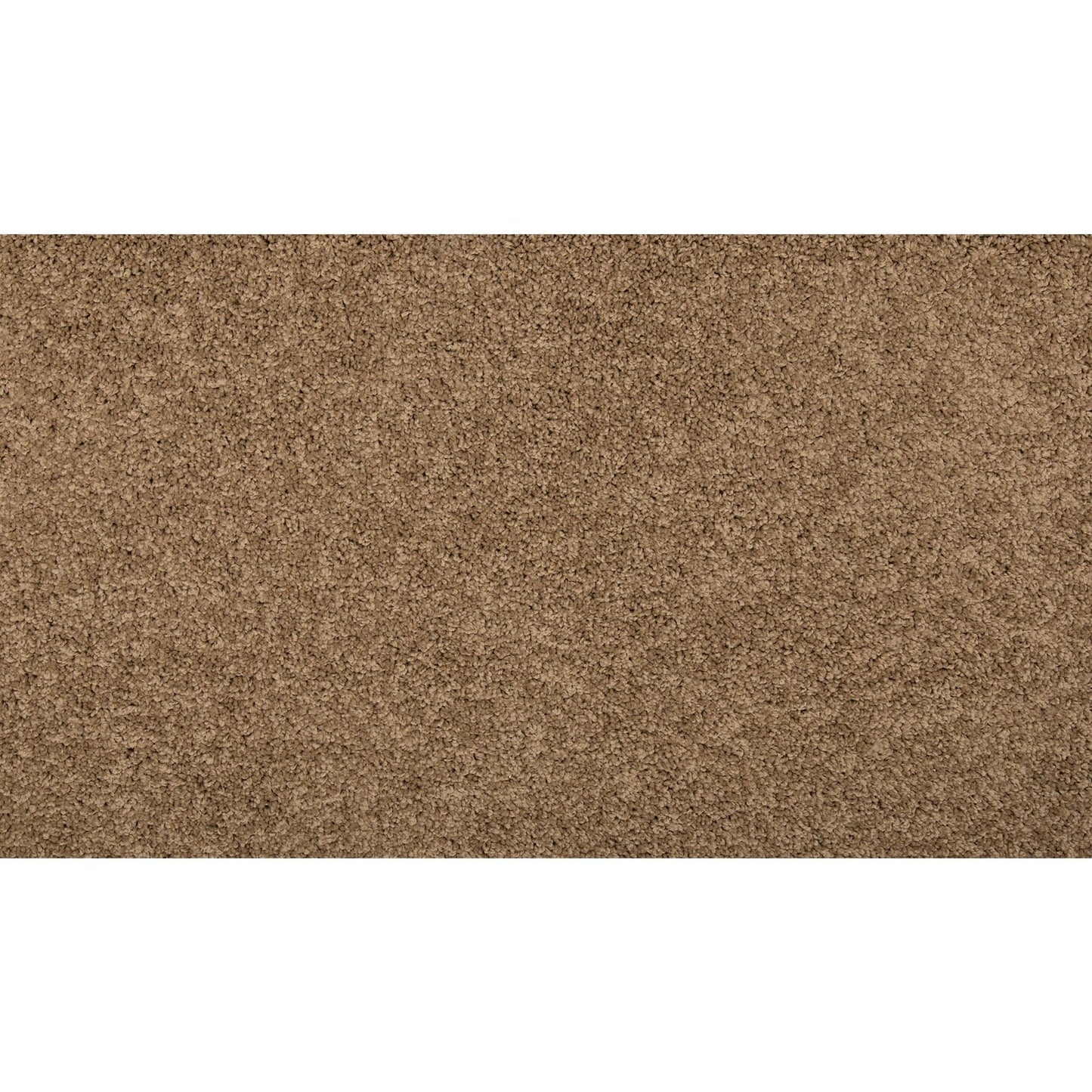 Memorable Touch II Capon Brown 50-oz sq yard Solution-dyed polyester Textured Indoor Carpet