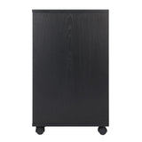 Winsome Wood Halifax Black 3-Drawer 30.71-in File Cabinet